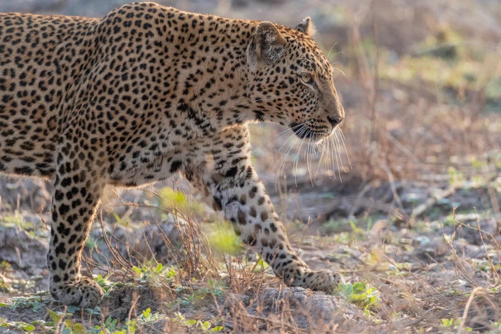 XF400mm_image_2-new